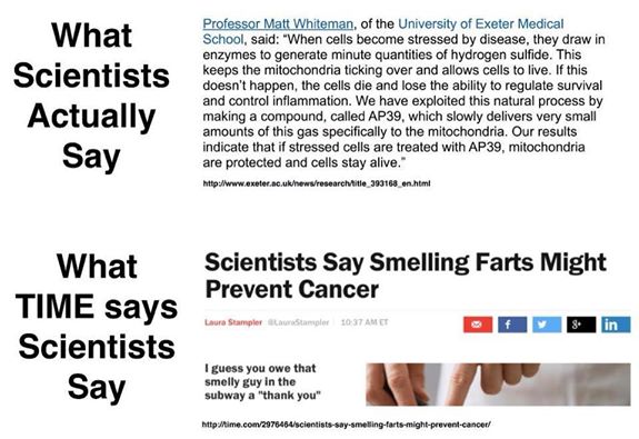 10314713_10152191824321179_6951003947952215847_n